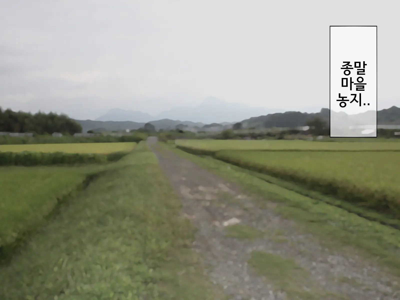 Sakusei Gakkyuu (8) ~Seikaku Saiaku No Joshi Shika Inai Gakkou De Seiteki Ijime Seikatsu~ | 착정학급 ~성격 최악의 여자밖에 없는 학교에서 성적 왕따 생활~ 8